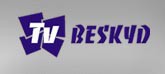 tvbeskyd.jpg